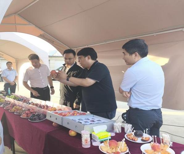 遼寧現(xiàn)代貨運代理日常工作遼寧現(xiàn)代貨運代理日常工作怎么樣