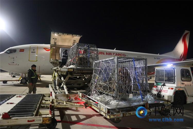 天津機場貨運基礎設施建設天津機場貨運服務