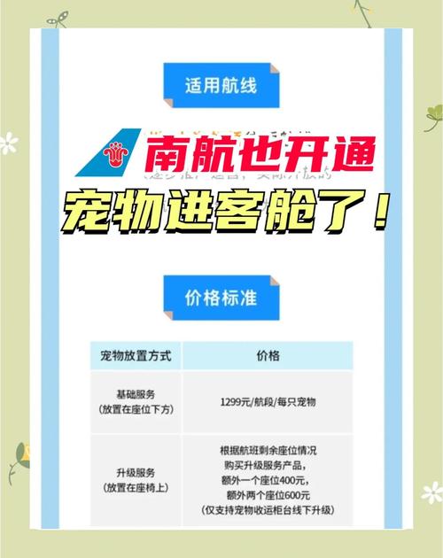 南航貨運招租南航貨運招租信息