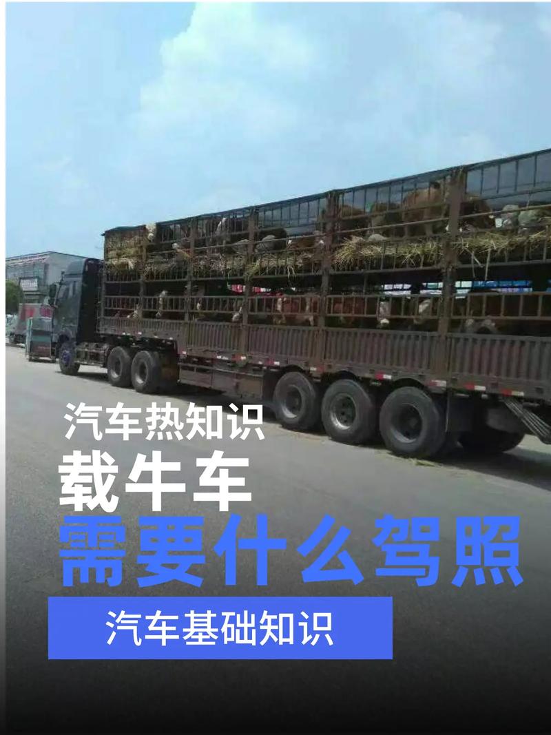 家用貨運牛車家用載貨車