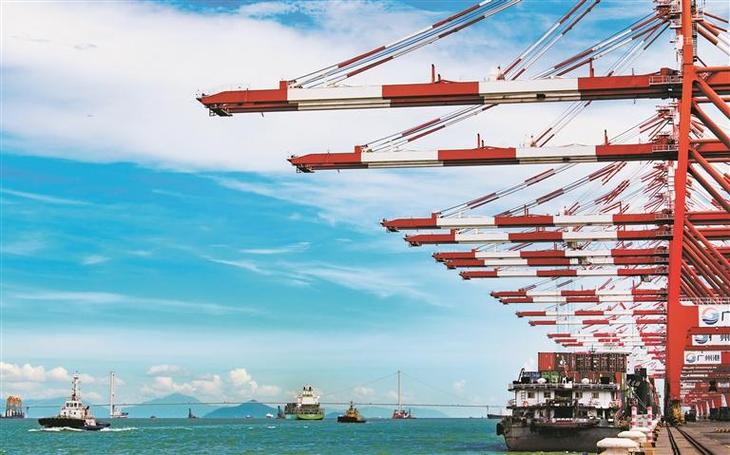 新強貨運新強貨運情況怎么樣