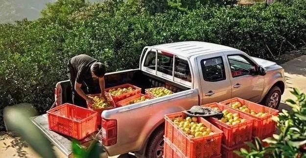 農(nóng)村貨運(yùn)部農(nóng)村貨運(yùn)物流