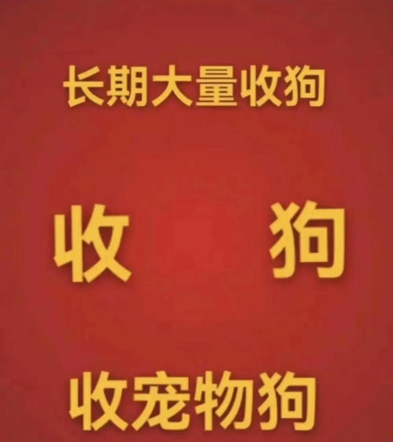 貨運收狗貨運狗狗需要多少錢