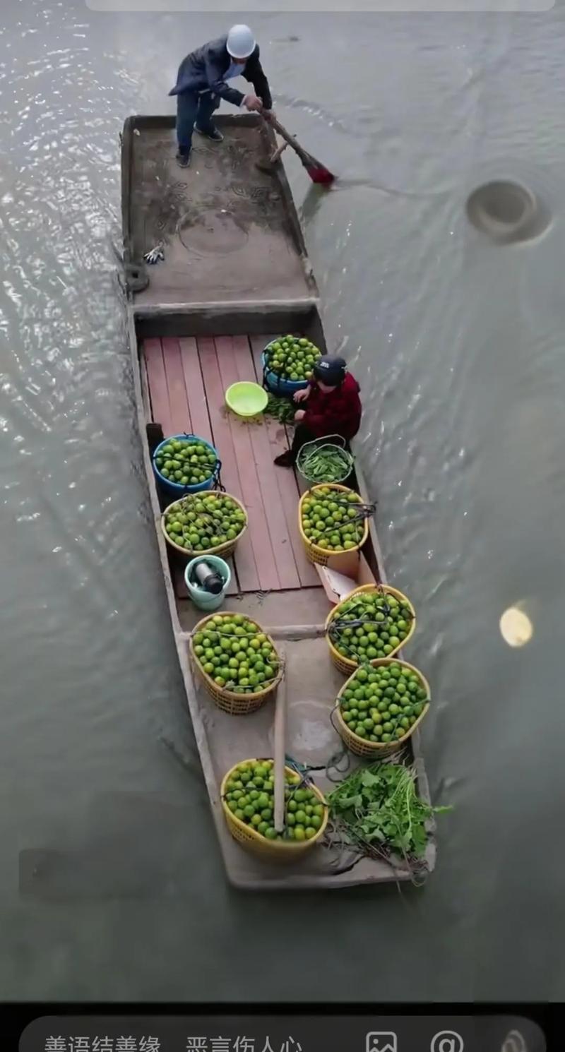 水泥貨運(yùn)船水泥貨運(yùn)船吸管圖片