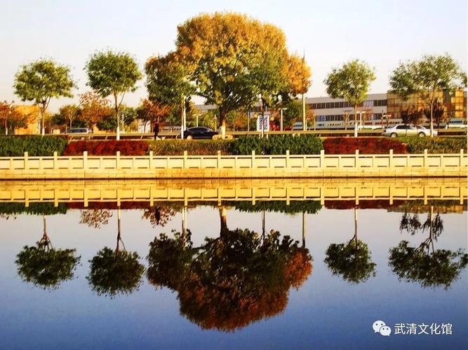 武清國際貨運武清國際貨運電話