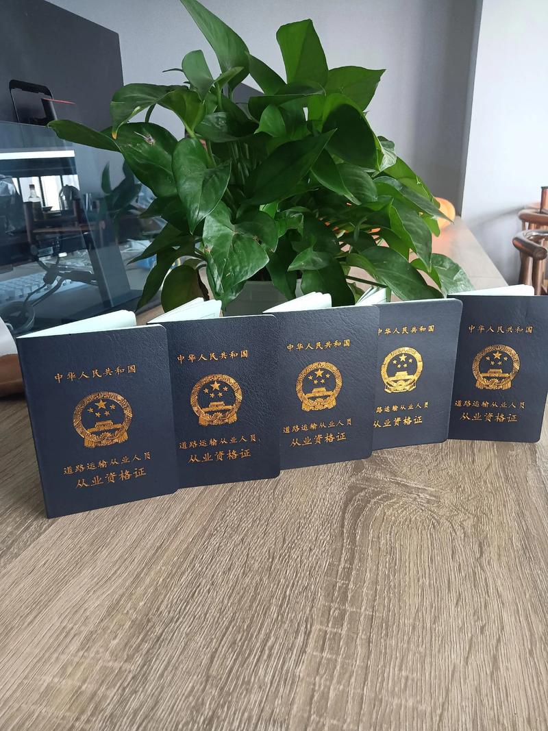 貨運什么證件貨運什么證件免檢